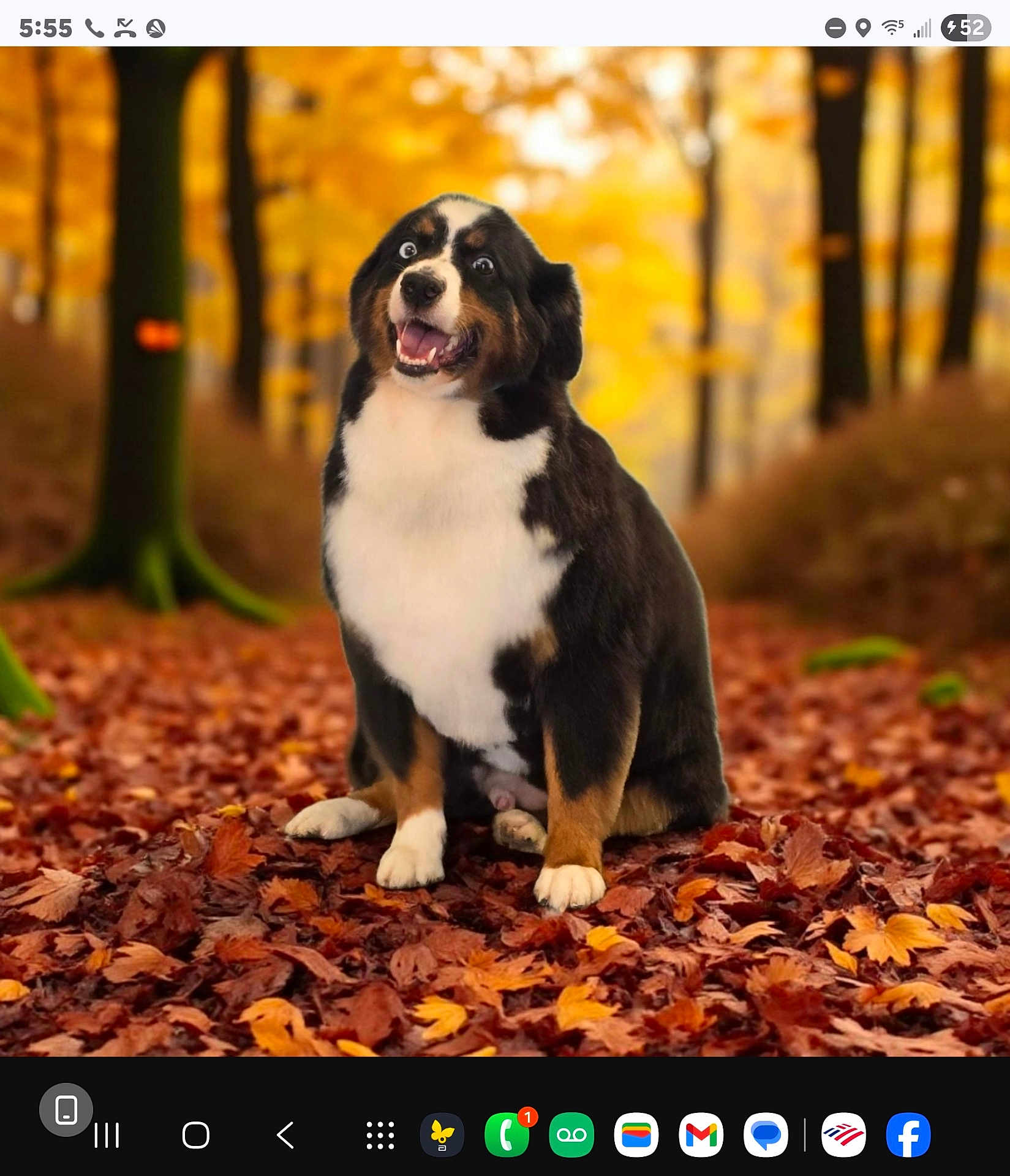 Bruno