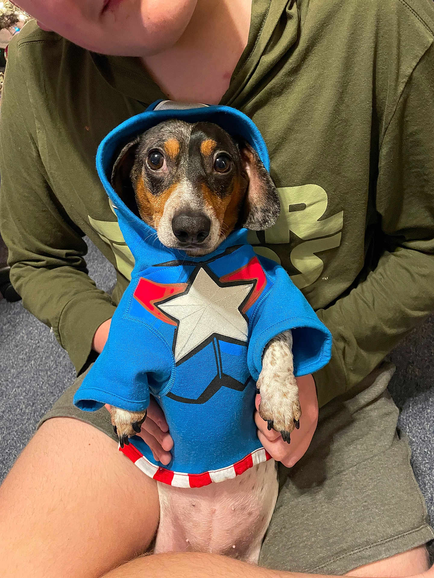 Oscar is registered to the contest to win money with this photo: dog, hoodie, blue_clothing, person, sitting, indoor, carpet, casual_clothing, holding, small_dog, pet, animal, human_hand, star_design, cute, eyes, face, shorts, green_shirt, expression