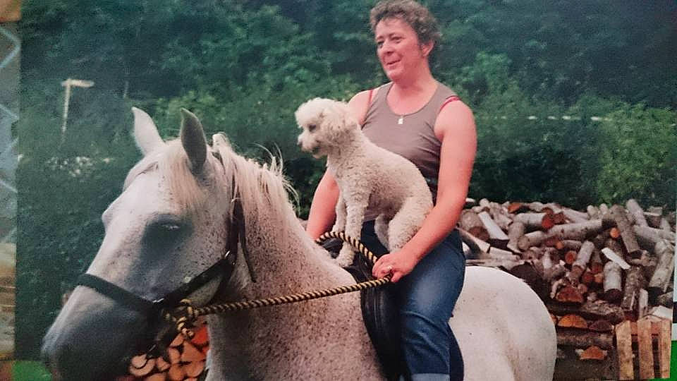 Munky a rejoint le concours — aidez-le/la à gagner de superbes lots ! canidae, horse, mammal, mare, pack_animal, person, recreation, vertebrate, working_animal