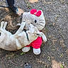 dog, plush_toy, hello_kitty, ground, dirt, grass, footwear, shoe, person, outdoor, pet, animal, toy, red_bow, collar, paw, relaxing, laying_down, casual, shadow