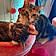 Daisy And Lily