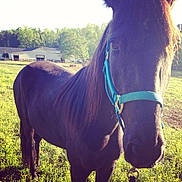 Raven is registered to the contest to win money with this photo: