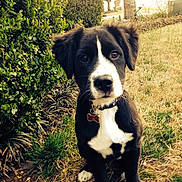 Harley is registered to the contest to win money with this photo: