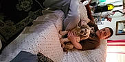 Rocky is registered to the contest to win money with this photo: adaptation, bedding, canidae, carnivore, child, comfort, companion_dog, dog_breed, fawn, felidae, fur, human_leg, linens, nap, pattern, small_to_medium_sized_cats, sporting_group, sunglasses, terrestrial_animal, thigh