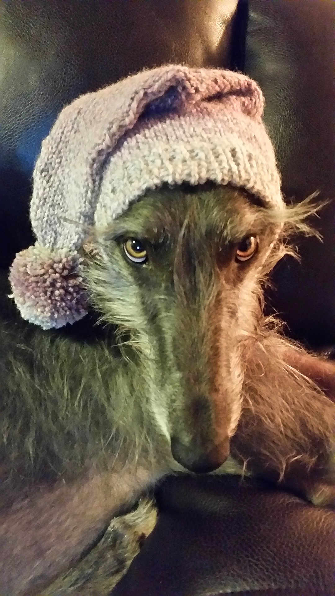 Fiona