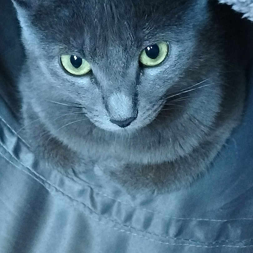 Mystic