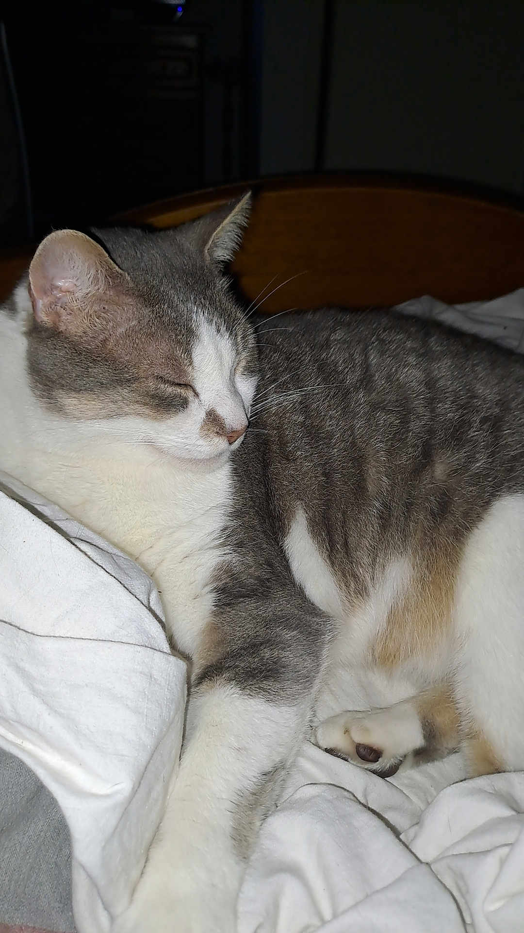 Oliver