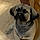 Brody