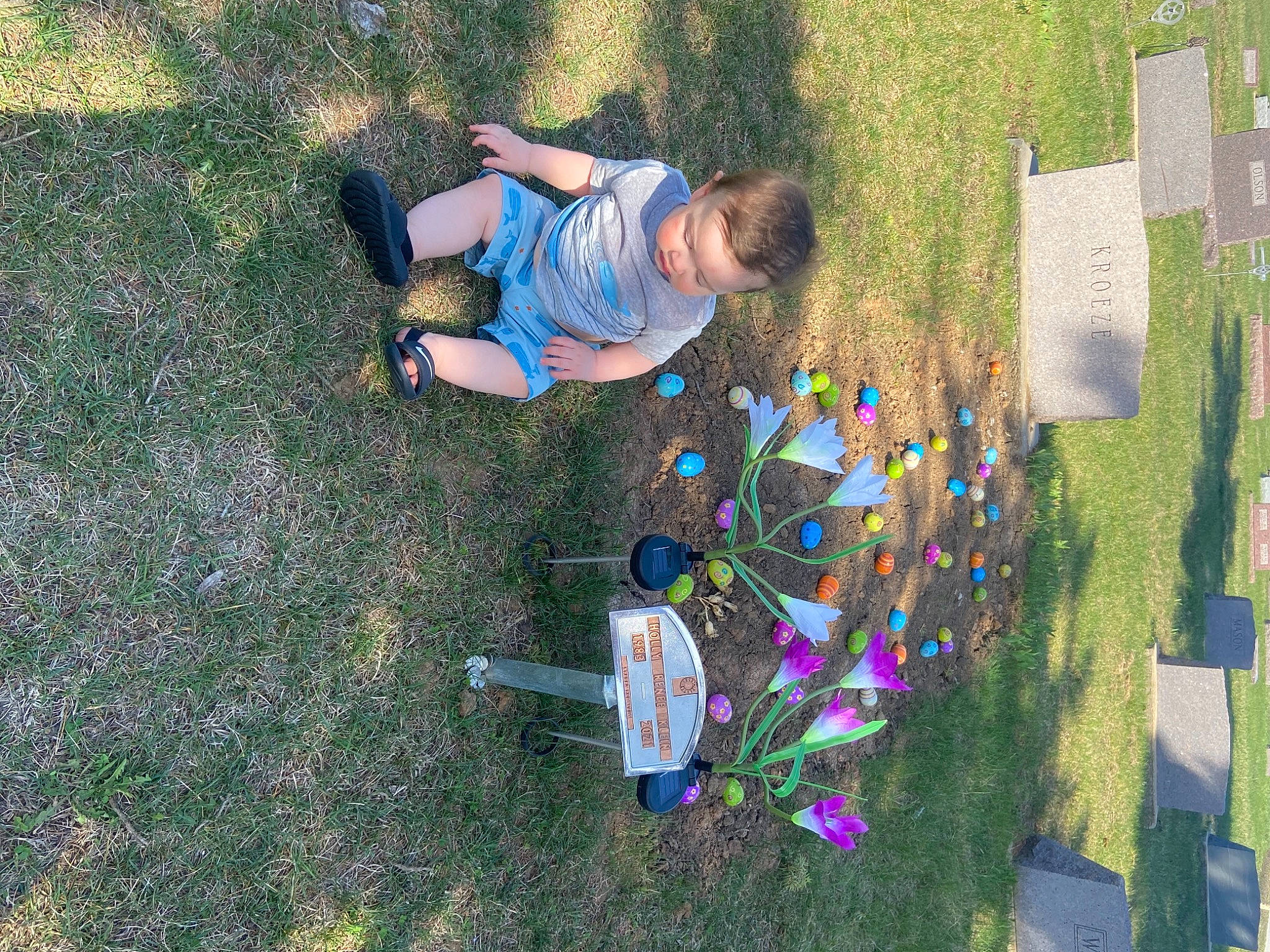 Kysen is registered to the contest to win money with this photo: cemetery, fun, grass, grassland, grave, groundcover, landscape, lawn, leisure, people_in_nature, person, plant, plastic, play, recreation, shadow, soil, toddler, toy, tree
