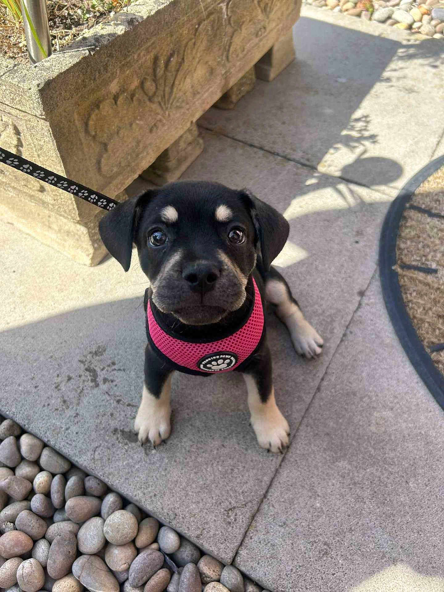 Luna