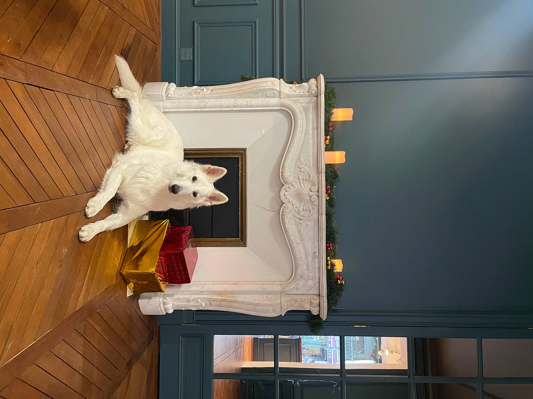 Snatch participe au concours pour gagner de l'argent avec cette photo : cabinetry, cockatoo, display_device, flat_panel_display, flooring, hardwood, machine, parrot, plaster, room, sculpture, tail, television_set, visual_arts, wood