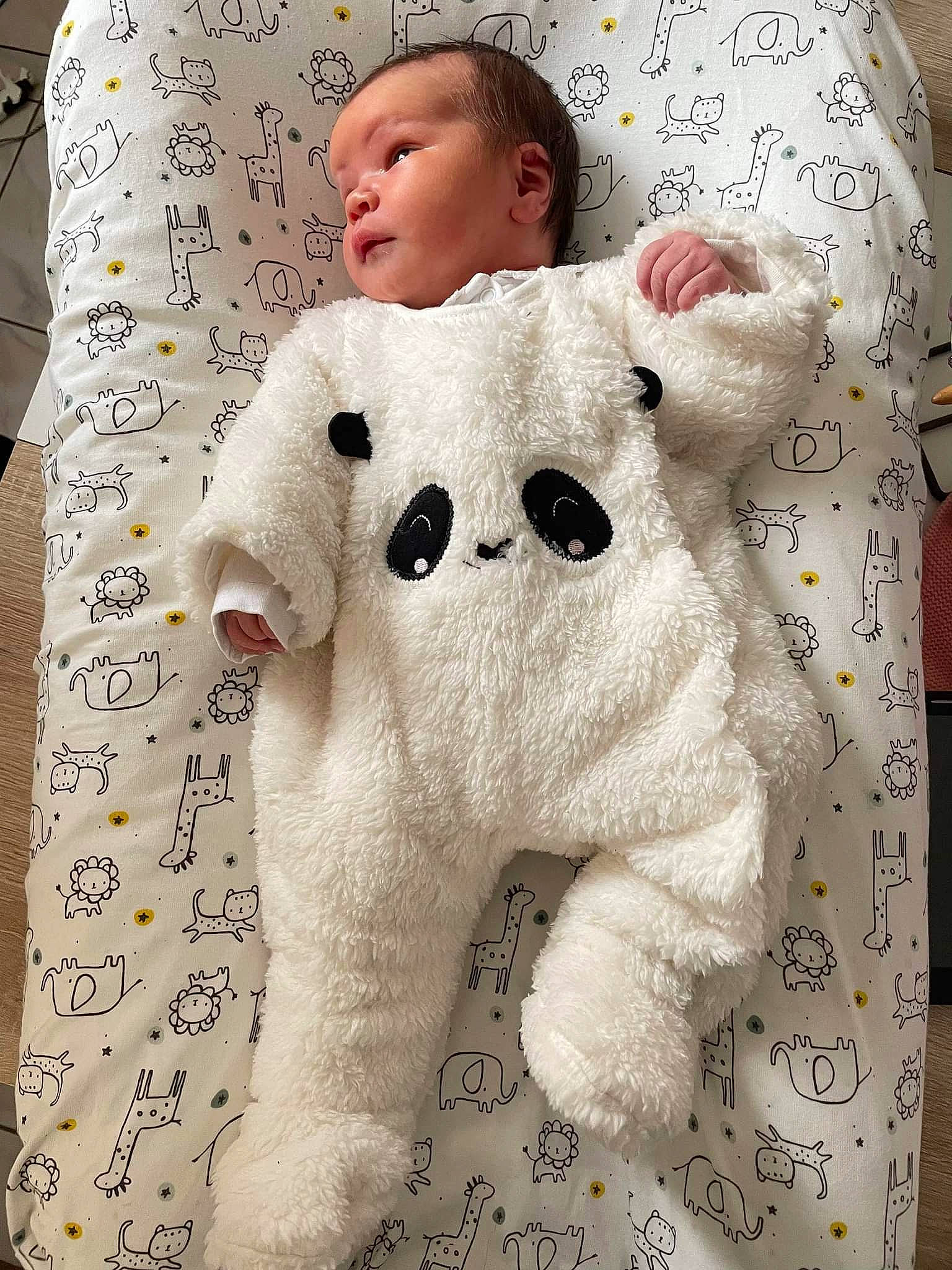 Tara participe au concours pour gagner de l'argent avec cette photo : baby, baby_sleeping, baby_toddler_clothing, bedding, child, comfort, companion_dog, craft, creative_arts, flooring, font, fur, happy, linens, pattern, person, sleeve, textile, toddler, white