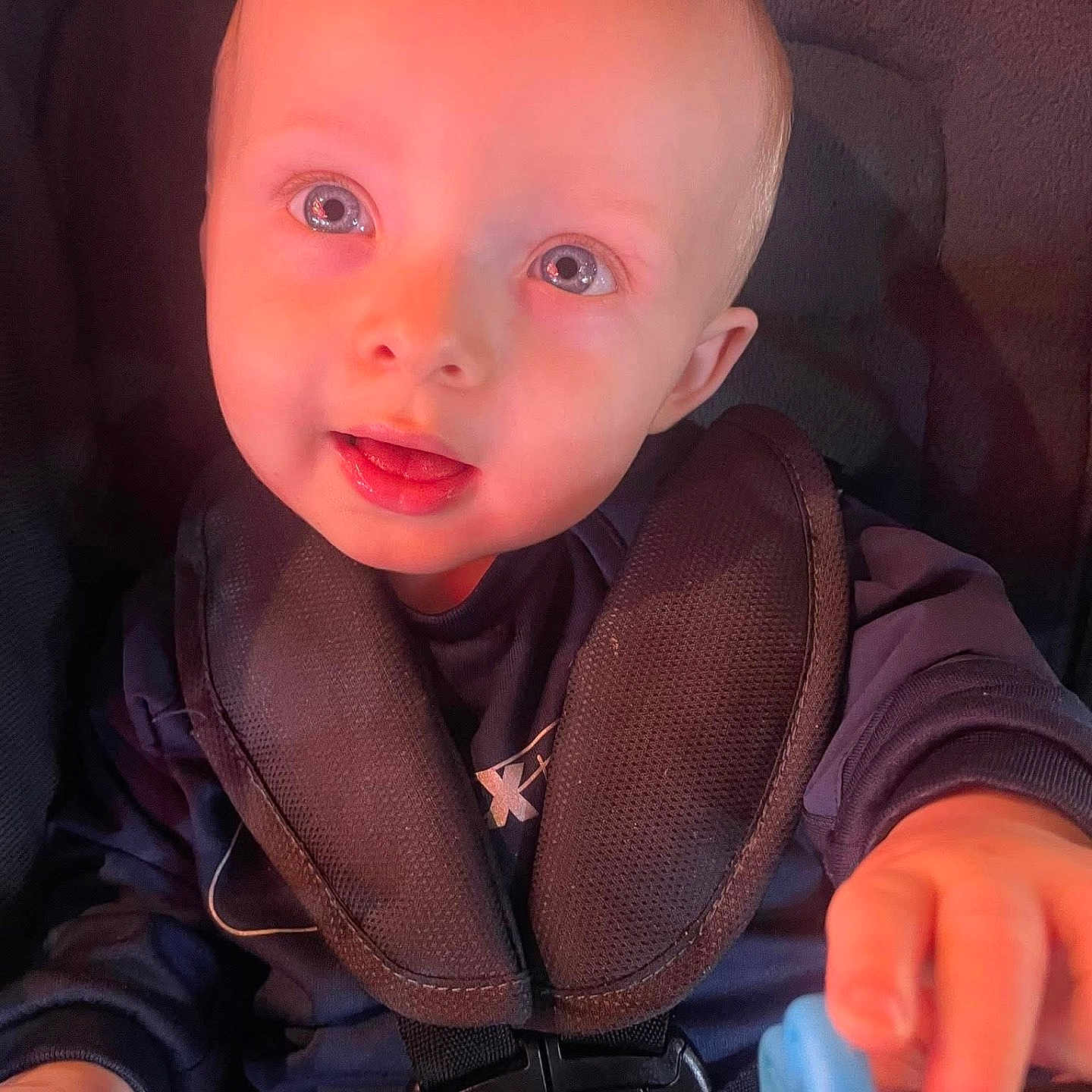 Enzo joined the competition — help win amazing prizes! baby, blue_toy, car_seat, child, closeup, clothing, curious, cute, expression, eyes, face, hand, indoor, infant, light, person, portrait, safety, seat_belt, young_child