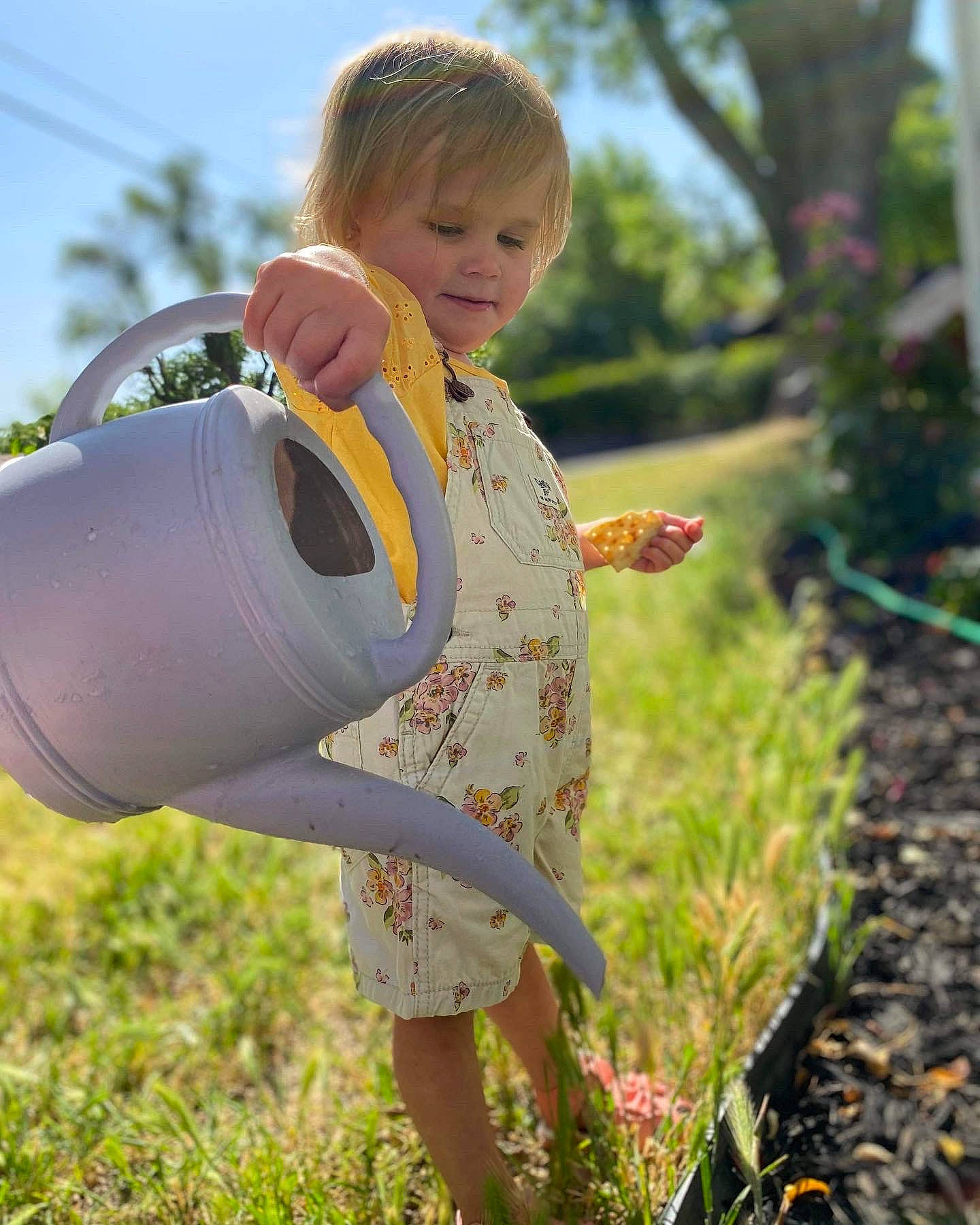 Vaeda is registered to the contest to win money with this photo: child, fun, grass, grass_family, grassland, happy, landscape, leisure, people_in_nature, person, personal_protective_equipment, plant, play, pumpkin, recreation, shoe, shoulder, sky, summer, sunlight