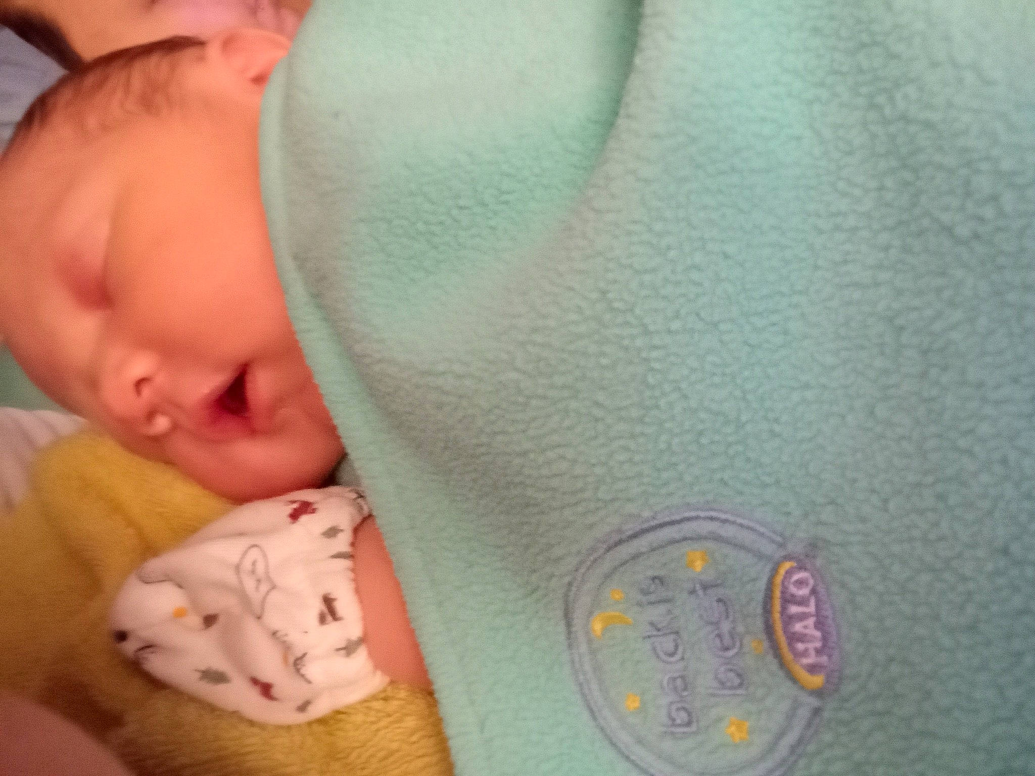 Bentley joined the competition — help win amazing prizes! arm, baby_sleeping, cheek, chin, comfort, eye, eyebrow, face, facial_expression, hand, head, human_body, mammal, neck, nose, person, skin, sleeve, textile, vertebrate