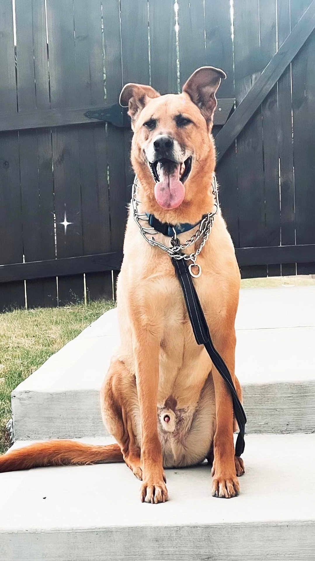 Odin