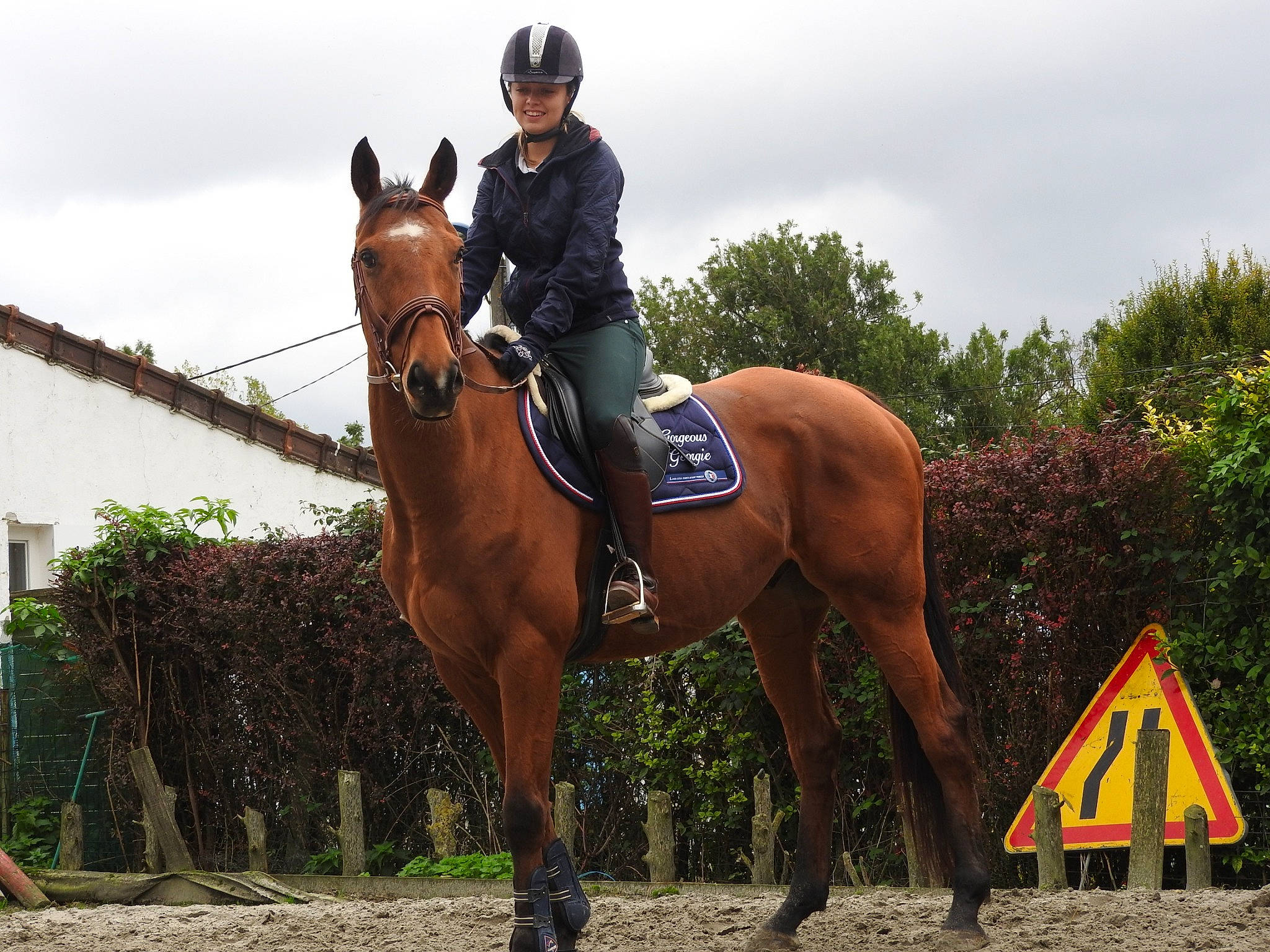 Gorgeous Georgie a rejoint le concours — aidez-le/la à gagner de superbes lots ! animal_sports, bridle, endurance_riding, english_riding, equestrian, equestrian_sport, equestrianism, equitation, halter, horse, horse_supplies, horse_tack, hunt_seat, jockey, mammal, outdoor_recreation, recreation, rein, saddle, vertebrate