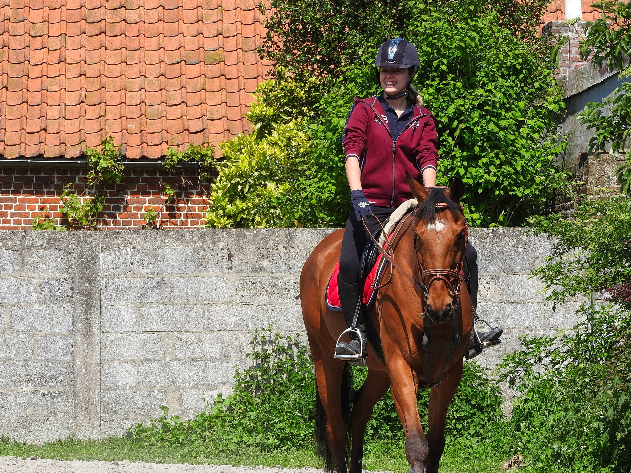 Gorgeous Georgie a rejoint le concours — aidez-le/la à gagner de superbes lots ! animal_sports, bridle, endurance_riding, english_riding, equestrian_sport, equestrianism, equitation, halter, horse, horse_supplies, horse_tack, mare, outdoor_recreation, pack_animal, recreation, rein, saddle, trail_riding, tree, western_riding