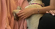 Tania a rejoint le concours — aidez-le/la à gagner de superbes lots ! affection, blanket, bracelet, casual, closeup, collar, comfort, couch, curly_hair, dog, earrings, furniture, indoor, nap, pet, pink, relaxation, rest, sleeping, woman