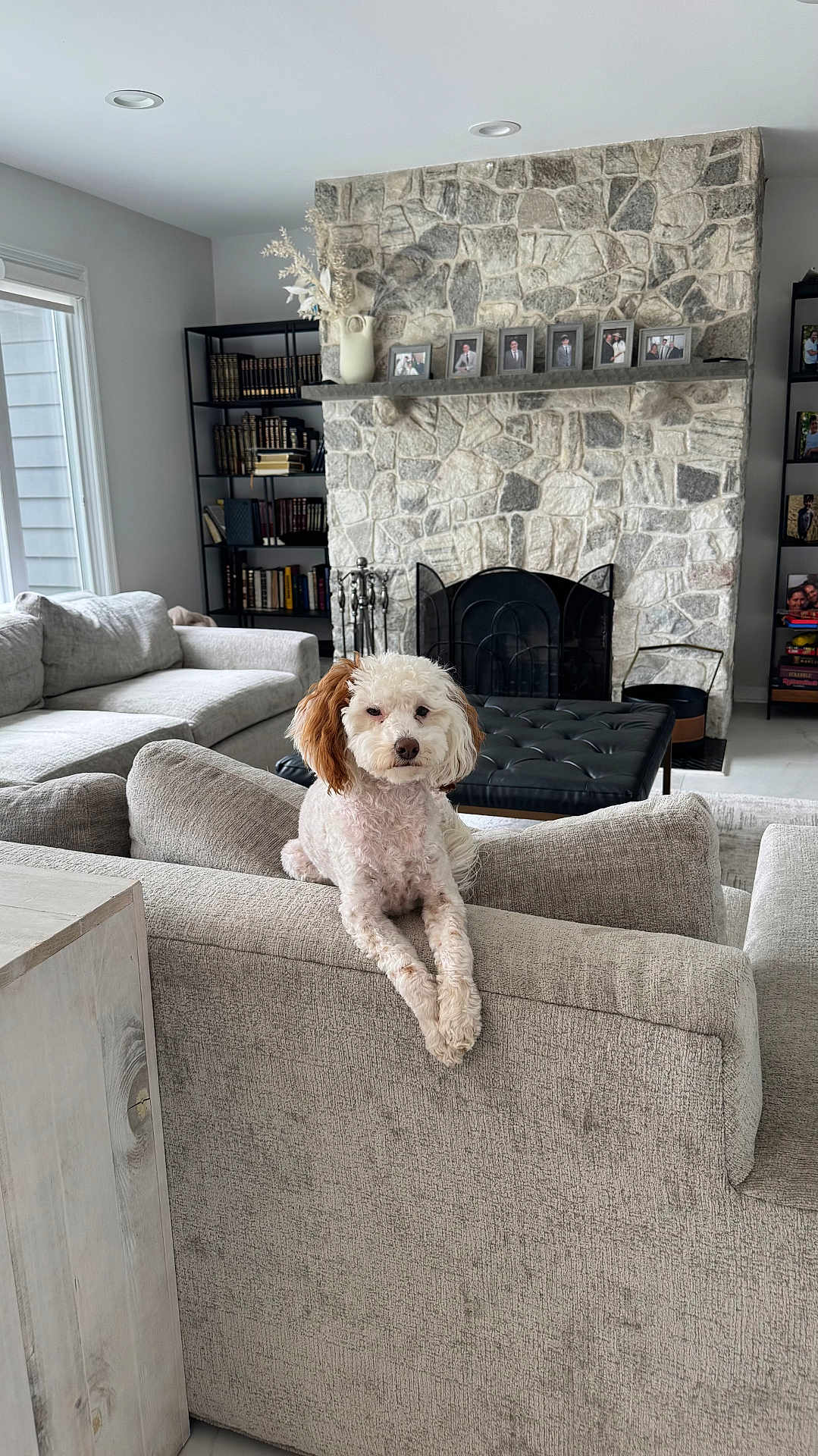 Riley Mizrahi
