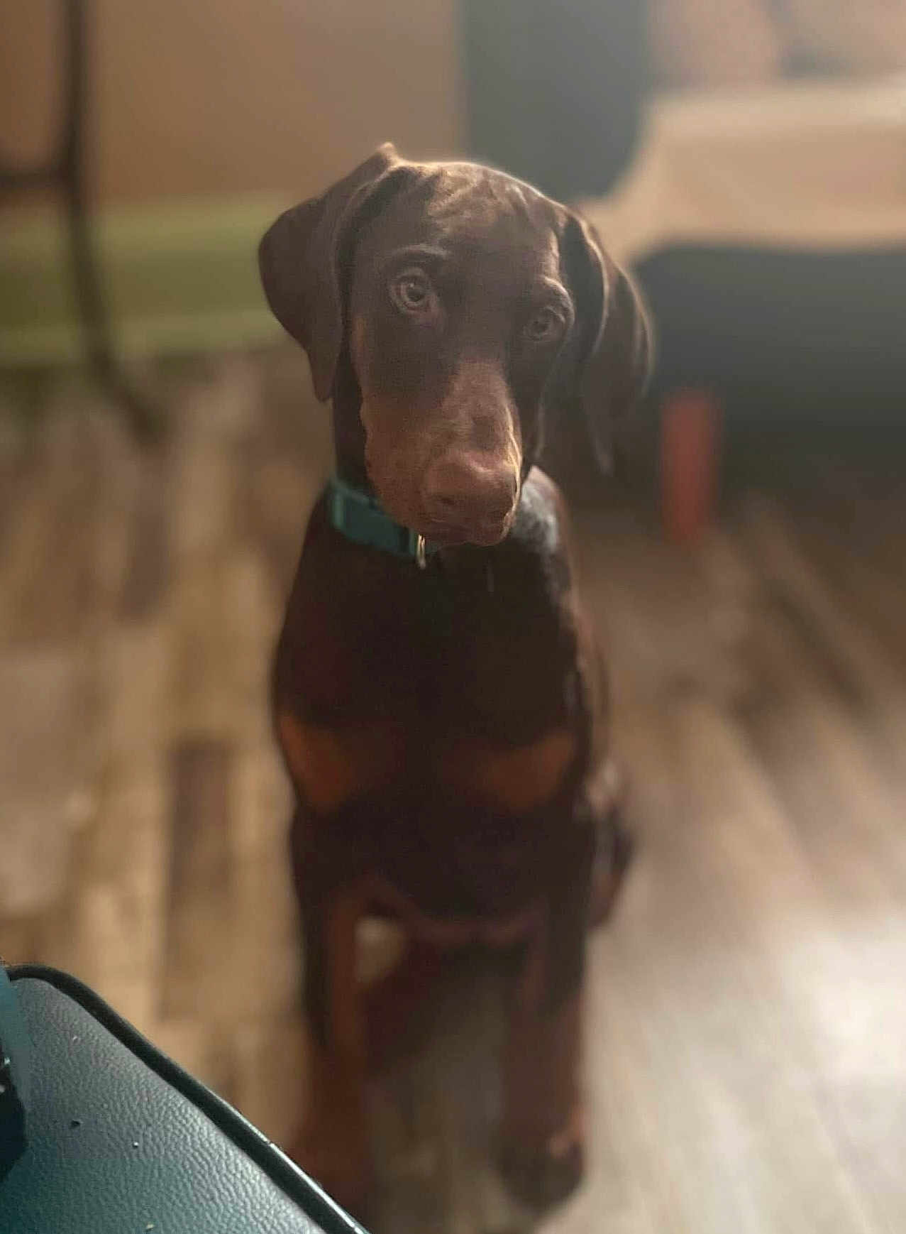 Rosie