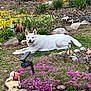 dog, white_dog, blue_eyes, lying_down, garden, flowers, pink_flowers, greenery, rocks, grass, plants, outdoor, happy, pet, canine, nature, daylight, smiling, tongue_out, backyard