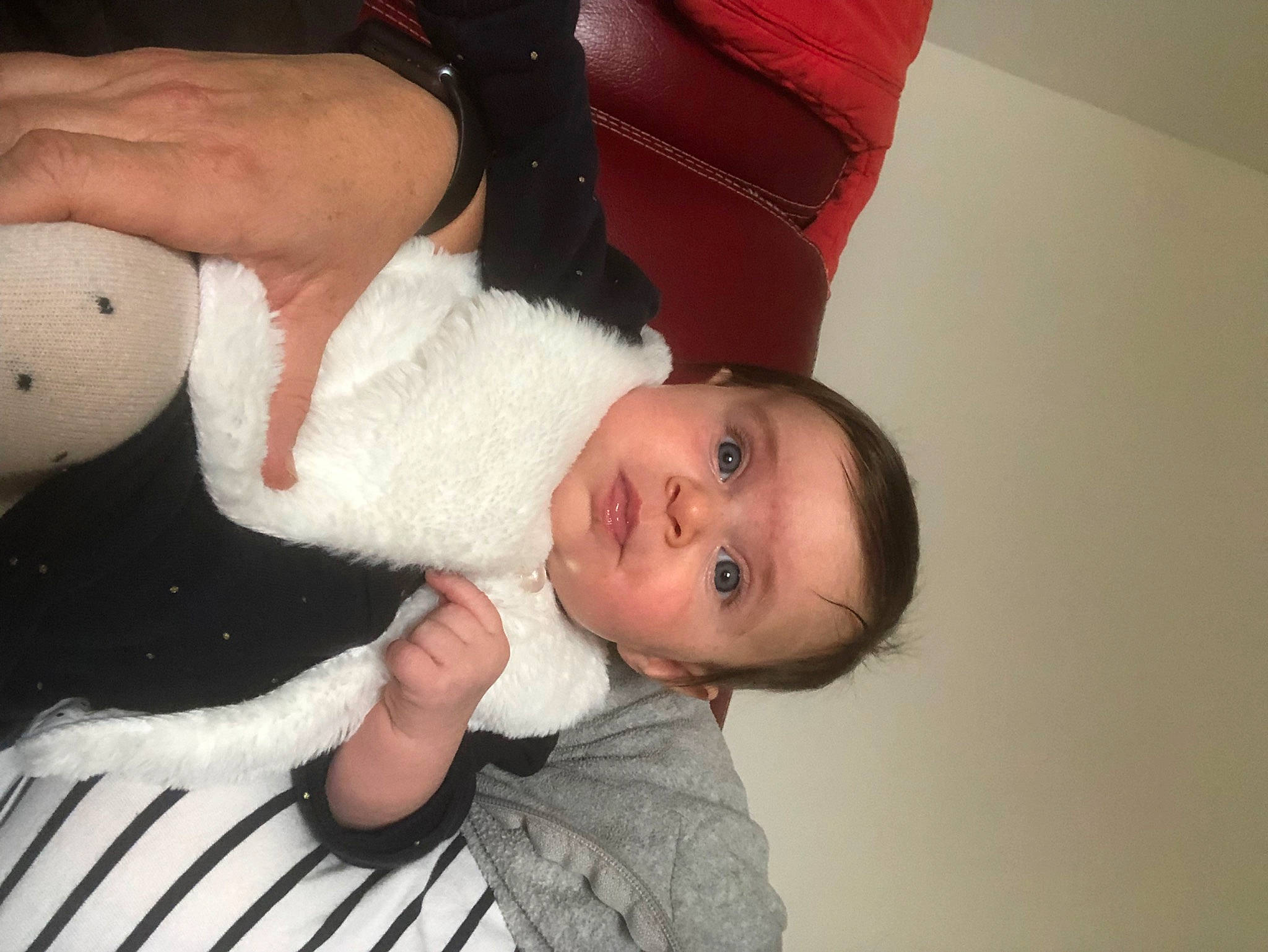Jeanne a rejoint le concours — aidez-le/la à gagner de superbes lots ! baby, baby_toddler_clothing, cheek, child, comfort, event, finger, fur, gesture, hand, happy, head, lap, nail, nose, person, skin, stuffed_toy, thumb, toddler