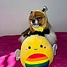 dog, plush_toy, costume, bumblebee, yellow, rainbow, pink_blanket, pet, cute, stuffed_animal, indoor, animal, fur, sleepy, toy, face, antenna, soft, colorful, resting