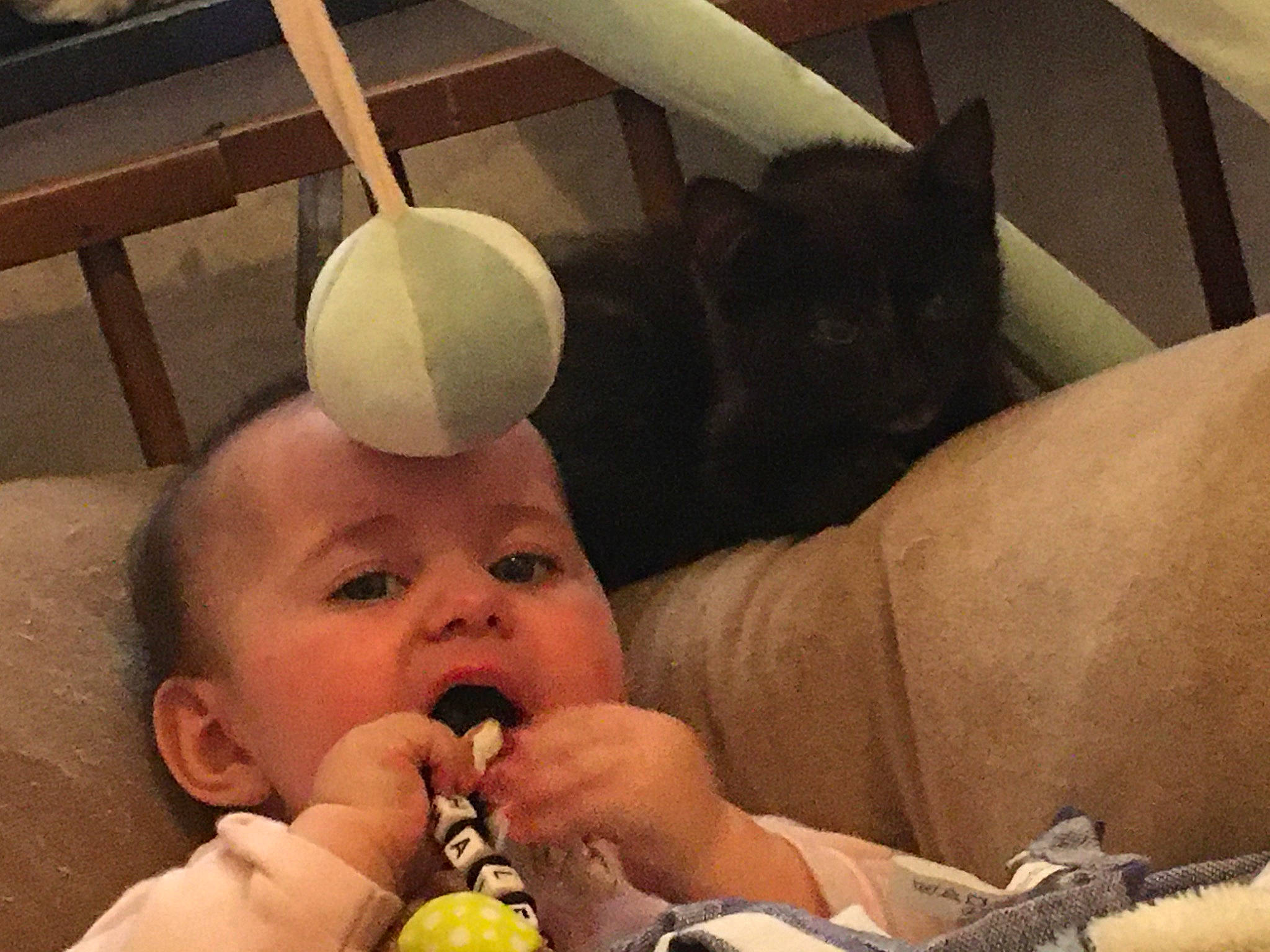 Haley a rejoint le concours — aidez-le/la à gagner de superbes lots ! baby, cheek, comfort, ear, eye, eyelash, face, finger, green, hand, happy, head, human_body, mouth, nose, organ, person, photograph, skin, thumb