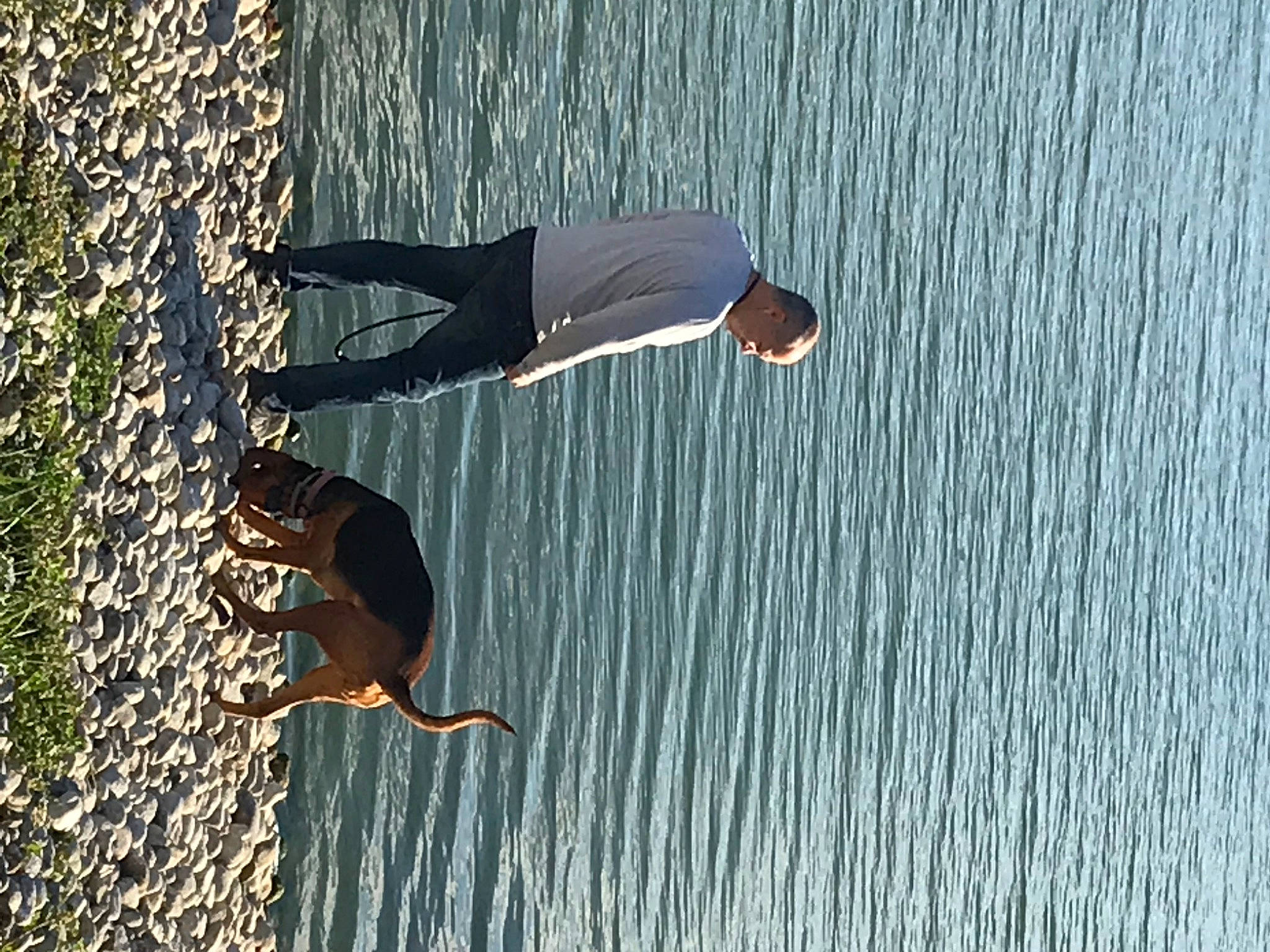 Ozzy participe au concours pour gagner de l'argent avec cette photo : arm, barefoot, beach, body_of_water, elbow, fun, gesture, happy, human_body, lake, landscape, leisure, ocean, people_in_nature, recreation, reflection, shadow, tree, water, wood