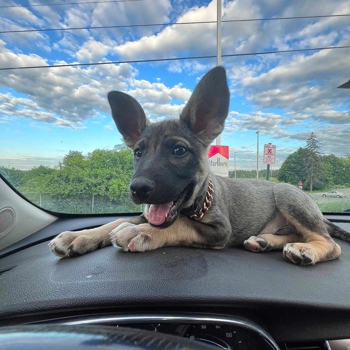 Gunner