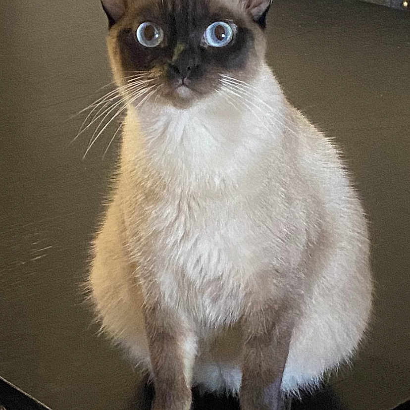 Fran