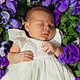 Ruth is registered to the contest to win money with this photo: baby, sleeping, white_dress, flowers, purple_flowers, nature, outdoor, peaceful, infant, soft_lighting, green_leaves, closeup, portrait, child, cute, resting, flora, gentle, skin, hands