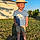 Rafaël