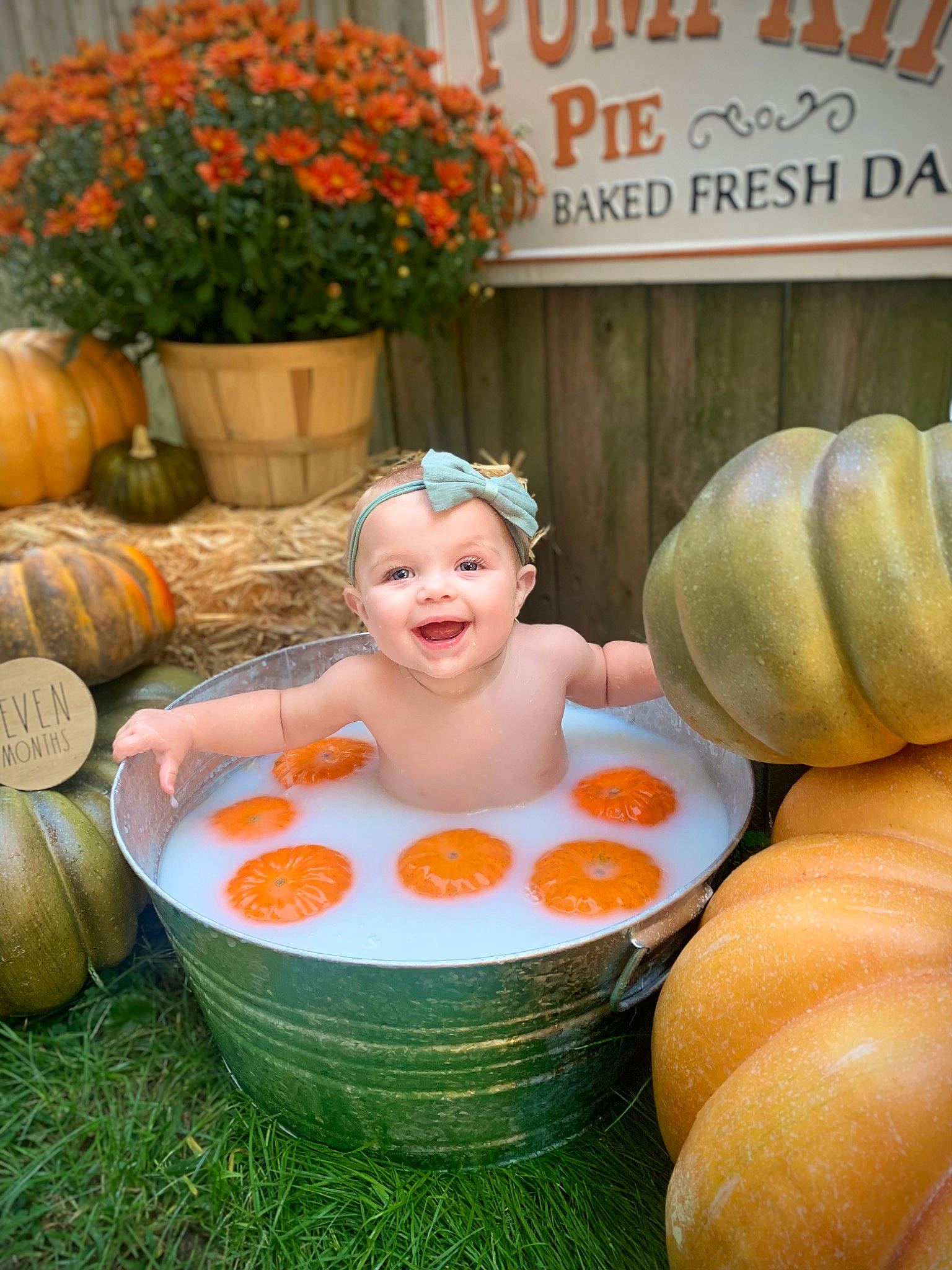 Felicity joined the competition — help win amazing prizes! calabaza, cucurbita, flower, flowerpot, gourd, grass, happy, headwear, houseplant, joy, leisure, natural_foods, orange, person, plant, pumpkin, smile, squash, summer, toddler