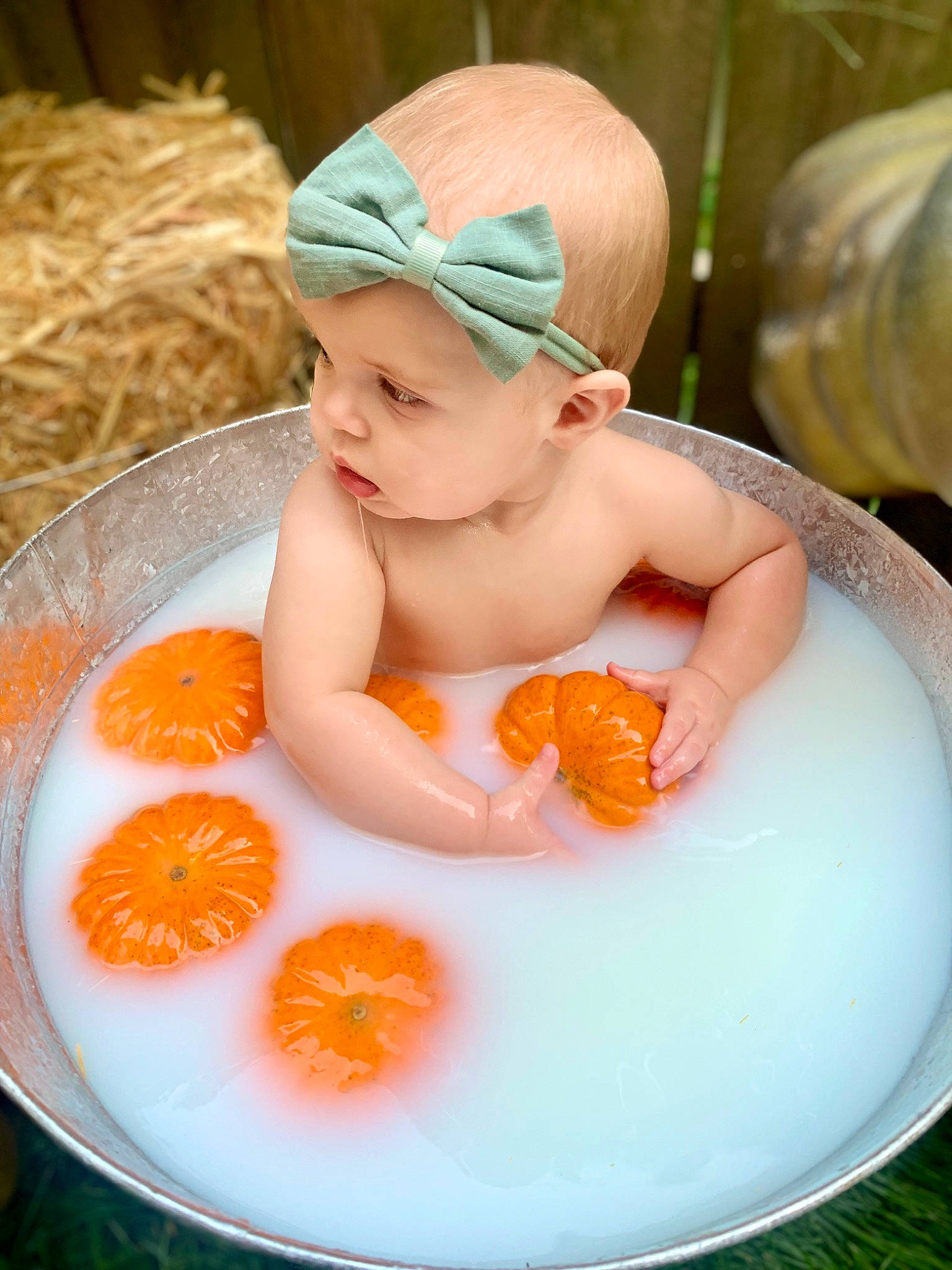 Felicity joined the competition — help win amazing prizes! baby, baby_products, baby_toddler_clothing, bathing, cap, chair, child, citrus, finger, grass, hand, headwear, ingredient, leisure, natural_foods, orange, person, plant, sweetness, toddler