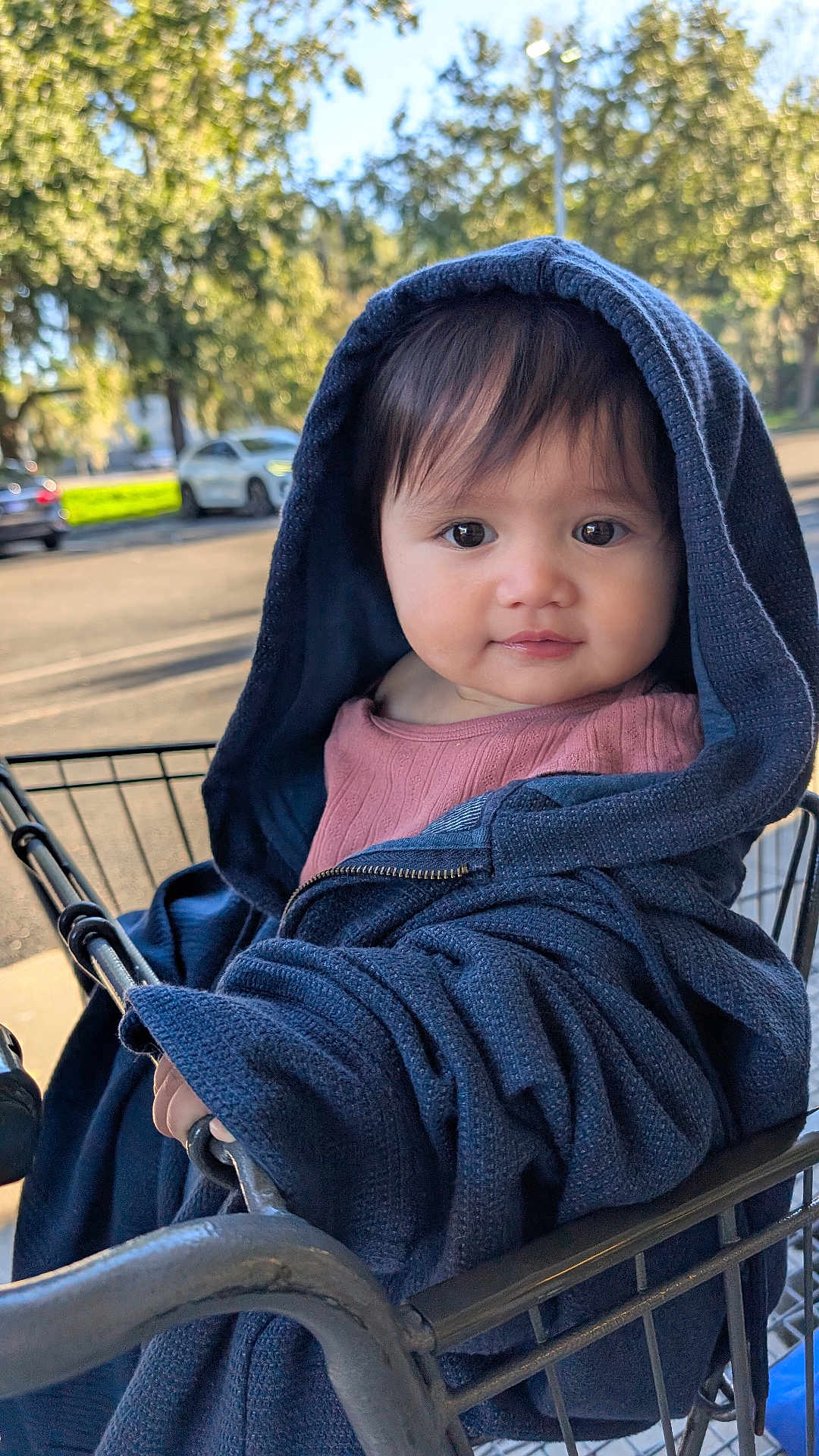 Avery is registered to the contest to win money with this photo: toddler, child, shopping_cart, hooded_jacket, blue_clothing, outdoor, daylight, trees, face, eyes, curious, street, parked_cars, clothing, person, portrait, cute, infant, baby, smiling