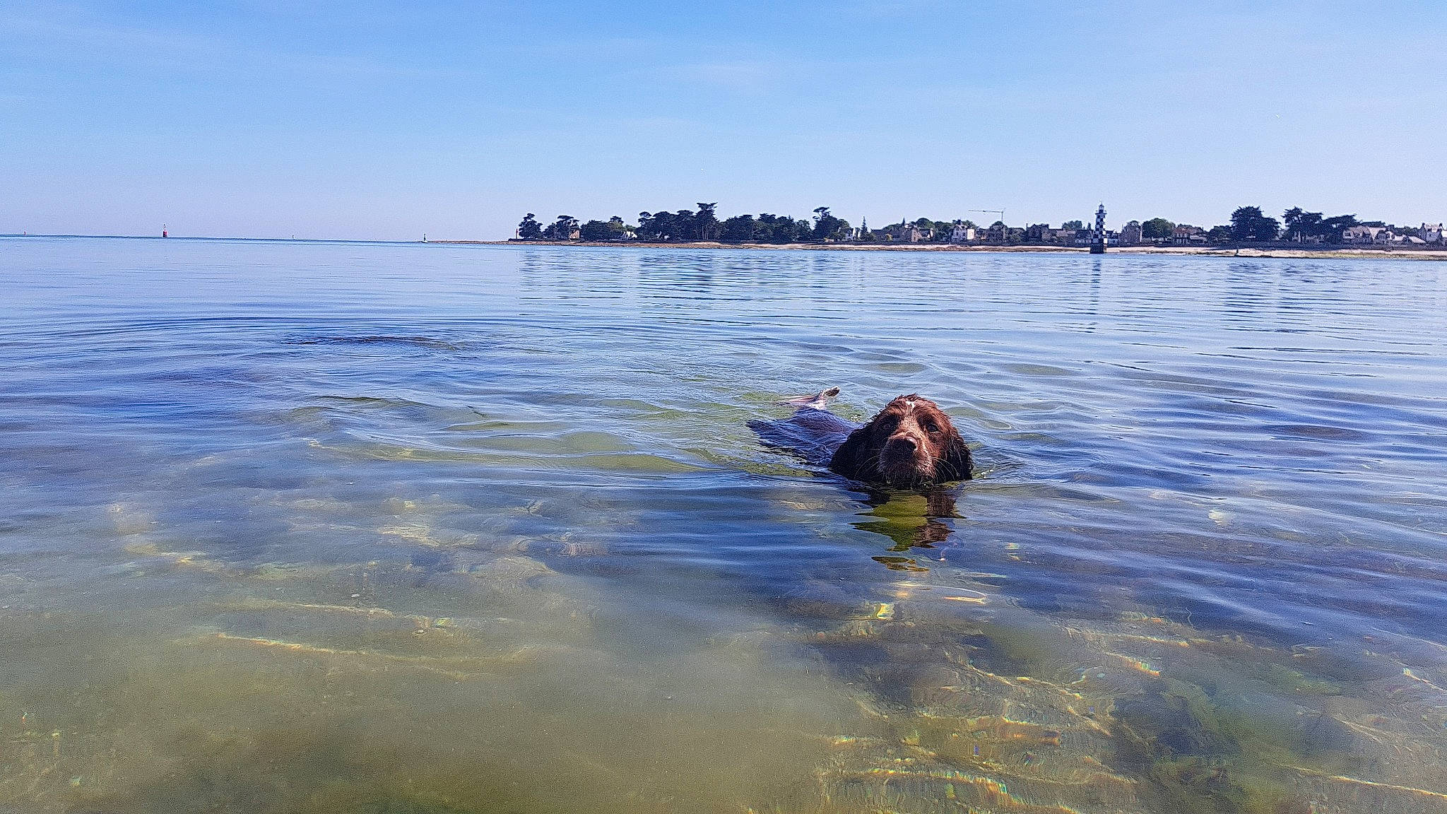 Jelly a rejoint le concours — aidez-le/la à gagner de superbes lots ! bay, beach, coast, fun, lake, ocean, open_water_swimming, recreation, river, sea, sky, snorkeling, sporting_group, swimming, tourism, vacation, water, wave