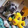 dog, sleeping, plush_toy, stuffed_animal, simba, yellow, bedspread, indoor, furniture, cozy, paw, snout, ears, closed_eyes, resting, animal, toy, room, doorway, refrigerator