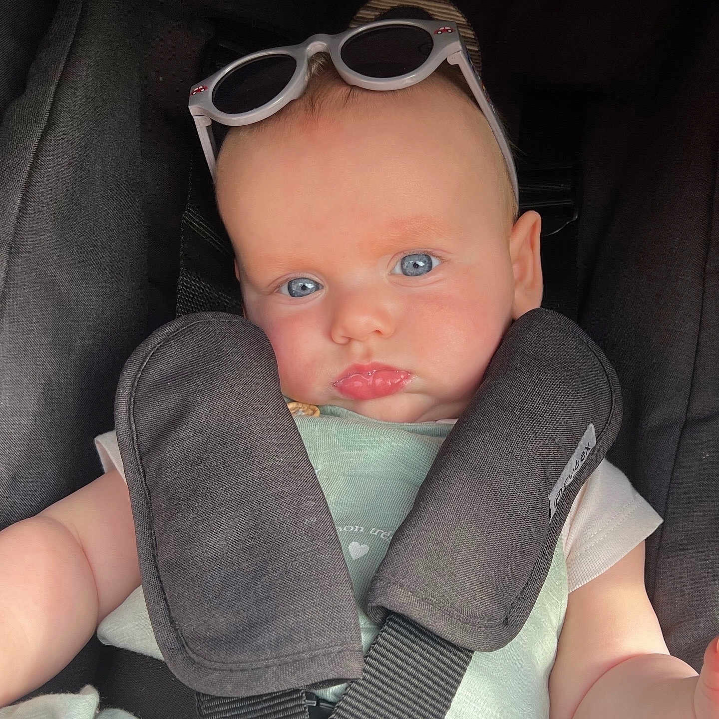 Manoa a rejoint le concours — aidez-le/la à gagner de superbes lots ! baby, infant, car_seat, sunglasses, blue_eyes, child, seatbelt, safety, cute, portrait, face, expression, clothing, straps, headwear, young_child, indoors, person, skin, seat