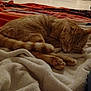 cat, orange_tabby, sleeping, blanket, indoor, living_room, furniture, television, clothes, cozy, pet, paw, floor, relaxing, home, couch, soft_texture, rest, domestic_animal, warm_lighting