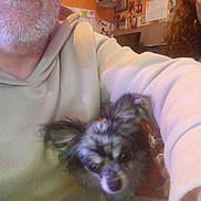 Black Pearl a rejoint le concours — aidez-le/la à gagner de superbes lots ! man, beard, glasses, hoodie, small_dog, dog, indoor, selfie, face, ears, furry, pet, wall, pictures, notes, lamp, orange_wall, curly_hair, person, casual