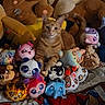 animal, bed, blanket, cat, collection, colorful, comfort, cozy, cute, cute_eyes, decor, feline, indoor, orange_tabby, pet, playful, plush_toys, sitting, soft_toys, stuffed_animals