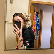 Edana joined the competition — help win amazing prizes! bathroom, butterfly_tattoo, casual, cat, door, gray_cat, hand, hoodie, indoor, mirror, person, phone, reflection, selfie, shoulder, smartphone, striped_towel, tattoo, towel, wooden_door