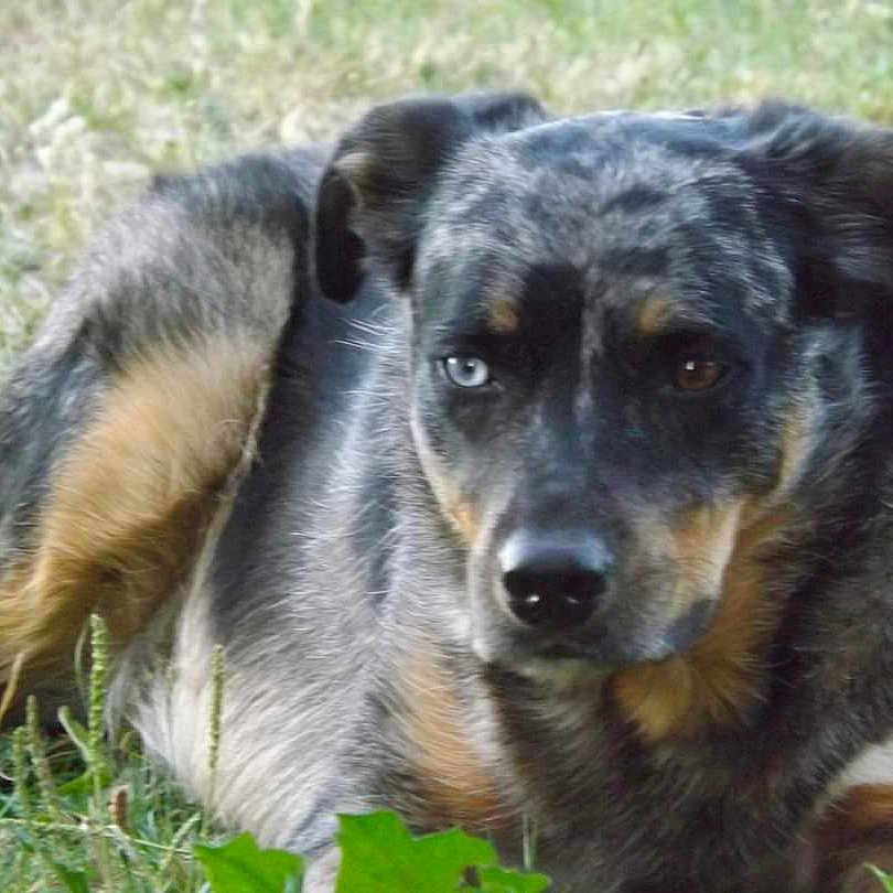 Rocky