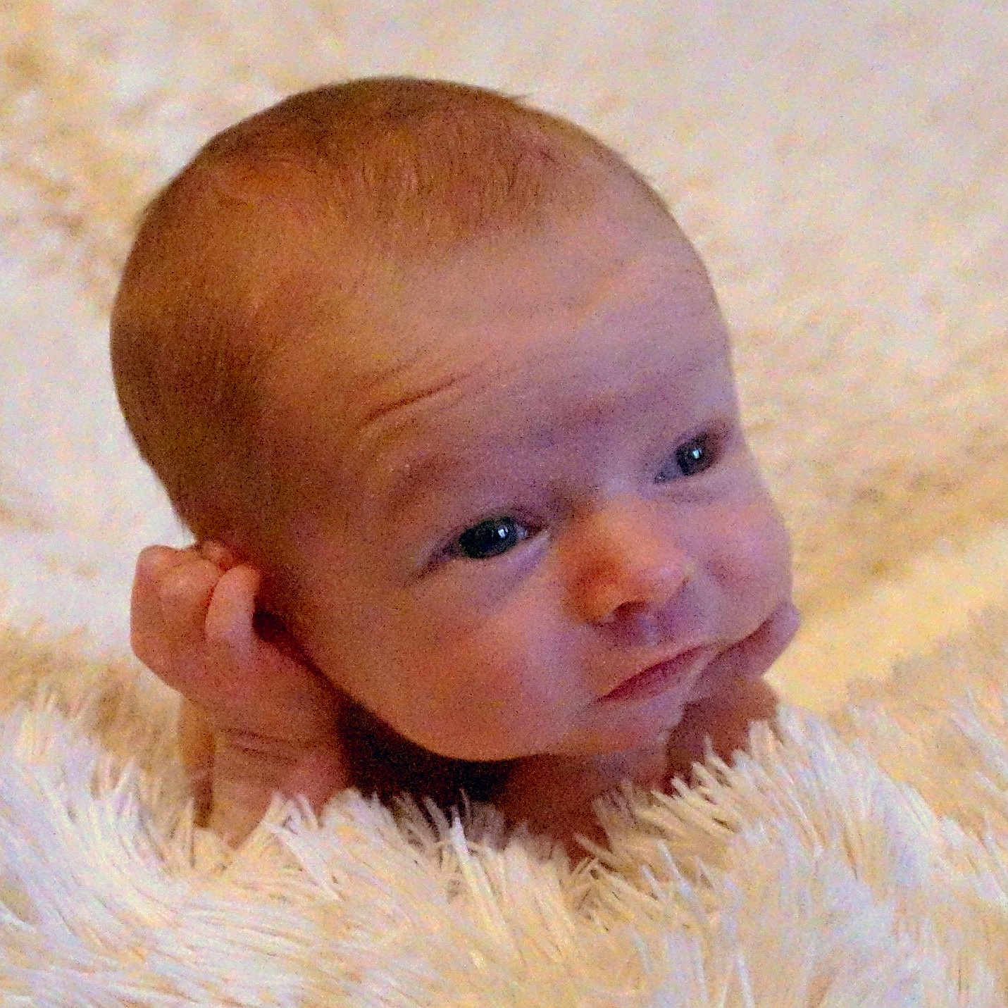 Sullivan joined the competition — help win amazing prizes! boy, cheek, child, close_up, ear, eye, face, forehead, head, infant, lip, mouth, nose, person, skin, toddler