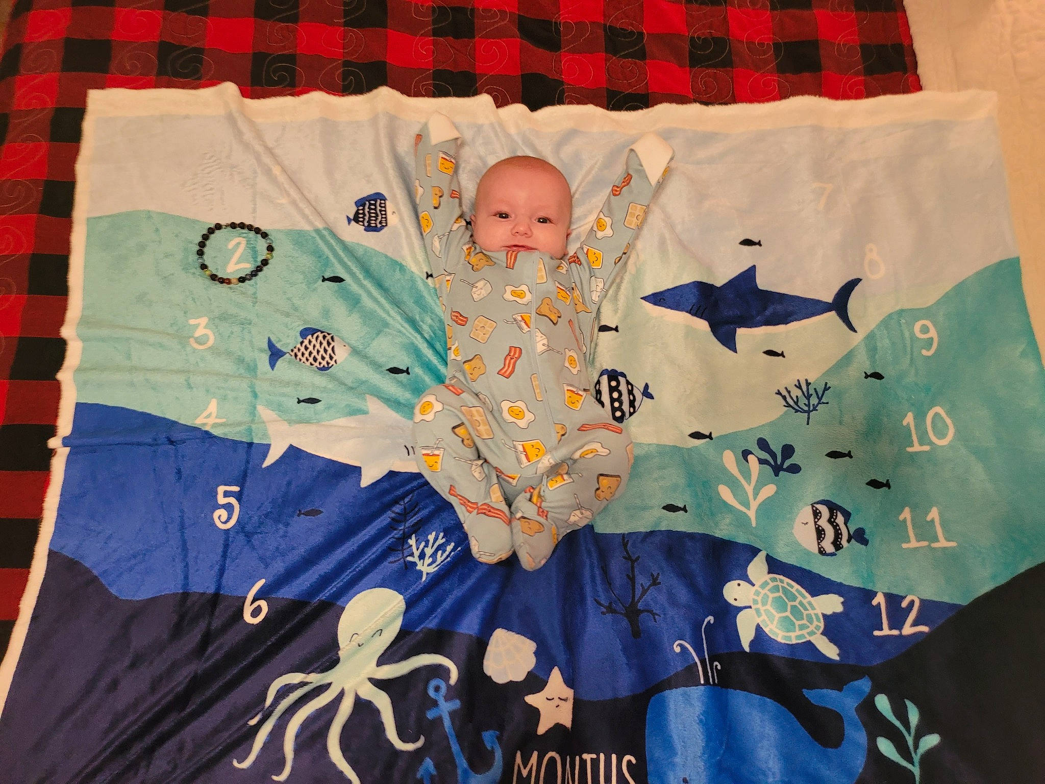 Atlas is registered to the contest to win money with this photo: aqua, art, baby, baby_products, baby_toddler_clothing, baby_toys, blue, child, circle, craft, creative_arts, leaf, linens, pattern, person, product, room, sleeve, t_shirt, textile