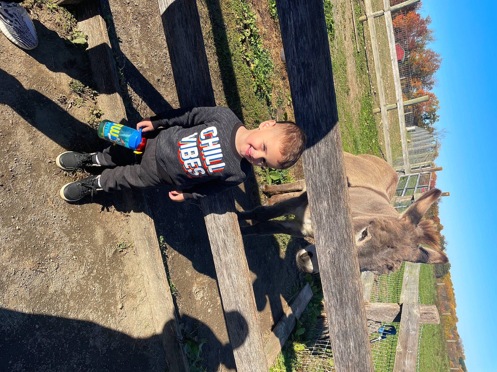 Cameron is registered to the contest to win money with this photo: adventure, child, fun, grass, joy, leisure, person, plant, recreation, shadow, sky, soil, t_shirt, toddler, tree, trunk, wood