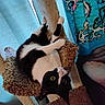 cat, black_and_white, cat_tree, upside_down, indoor, feline, curious, playful, wide_eyes, tapestry, blue, cartoon_art, furniture, pet, cozy, resting, whiskers, ears, paws, home