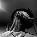 Sam N.